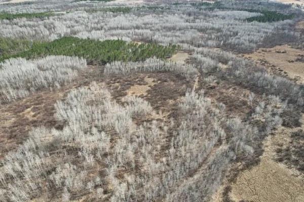 TBD Anderson Crossing RD, Sebeka, MN 56477