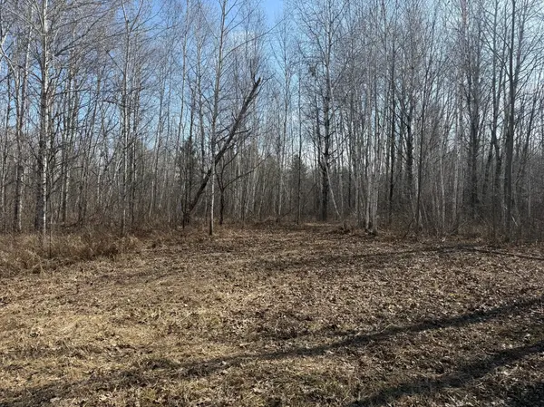 NA Beaver Claw Rd, Brook Park, MN 55007