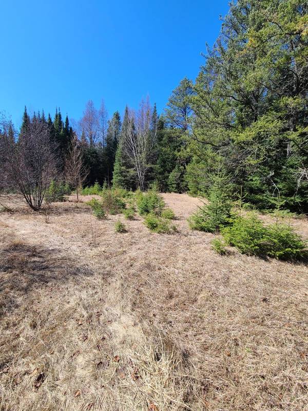 3121 Highway 21, Babbitt, MN 55706
