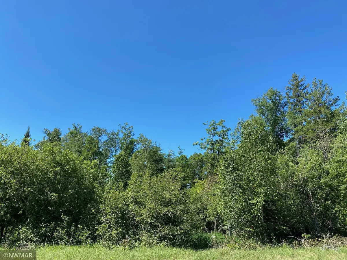 TBD (L9,B2) Goldfinch LN SW, Bemidji, MN 56601