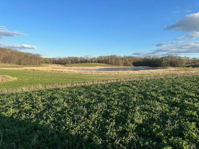 Lot 3 Blk 2 Lakeway Drive, Pelican Rapids, MN 56572