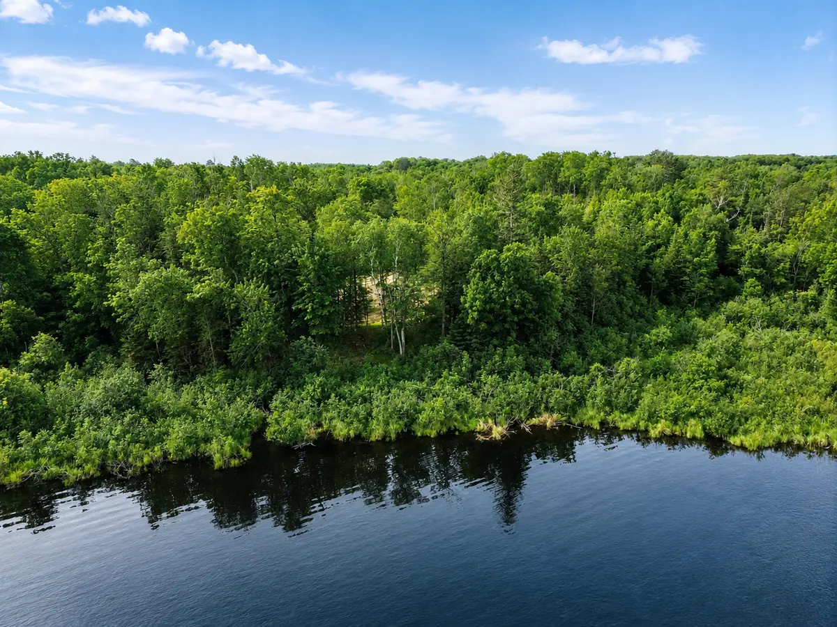 7787 Agency Narrows DR NW, Walker, MN 56484