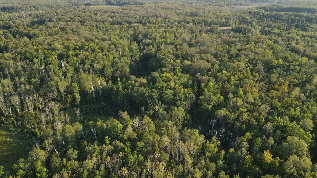 TBD Kestrel Ave., Mcgrath, MN 56350