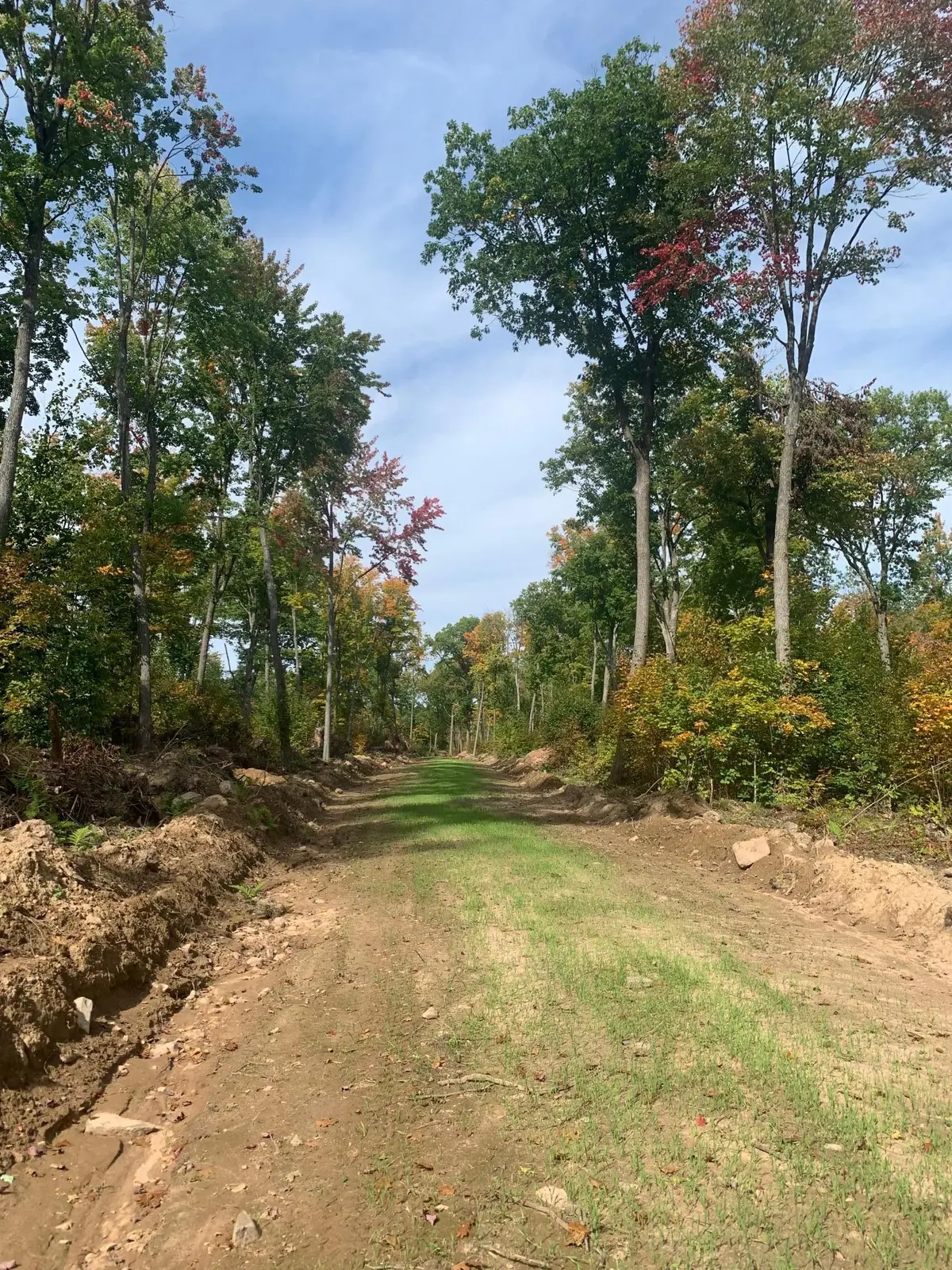 TBD County Road T 4, Dairyland, WI 54830
