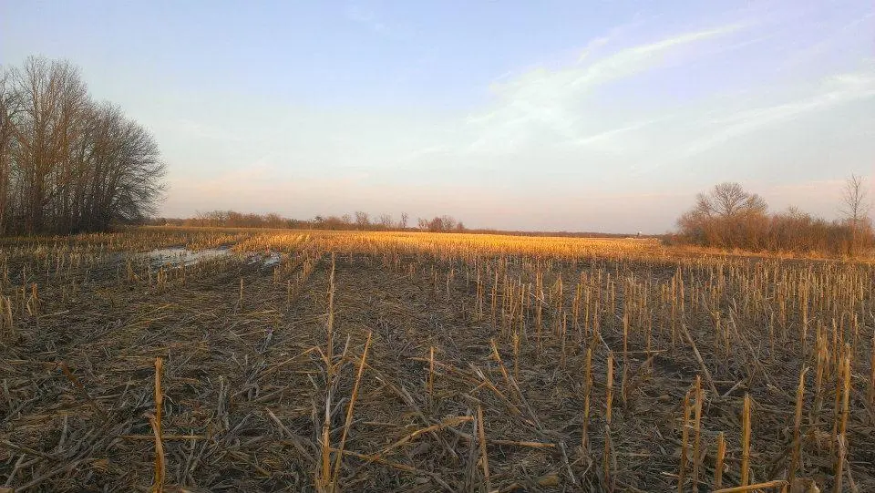 TBD 16-005-0102 Mille Lacs County, Princeton, MN 55371