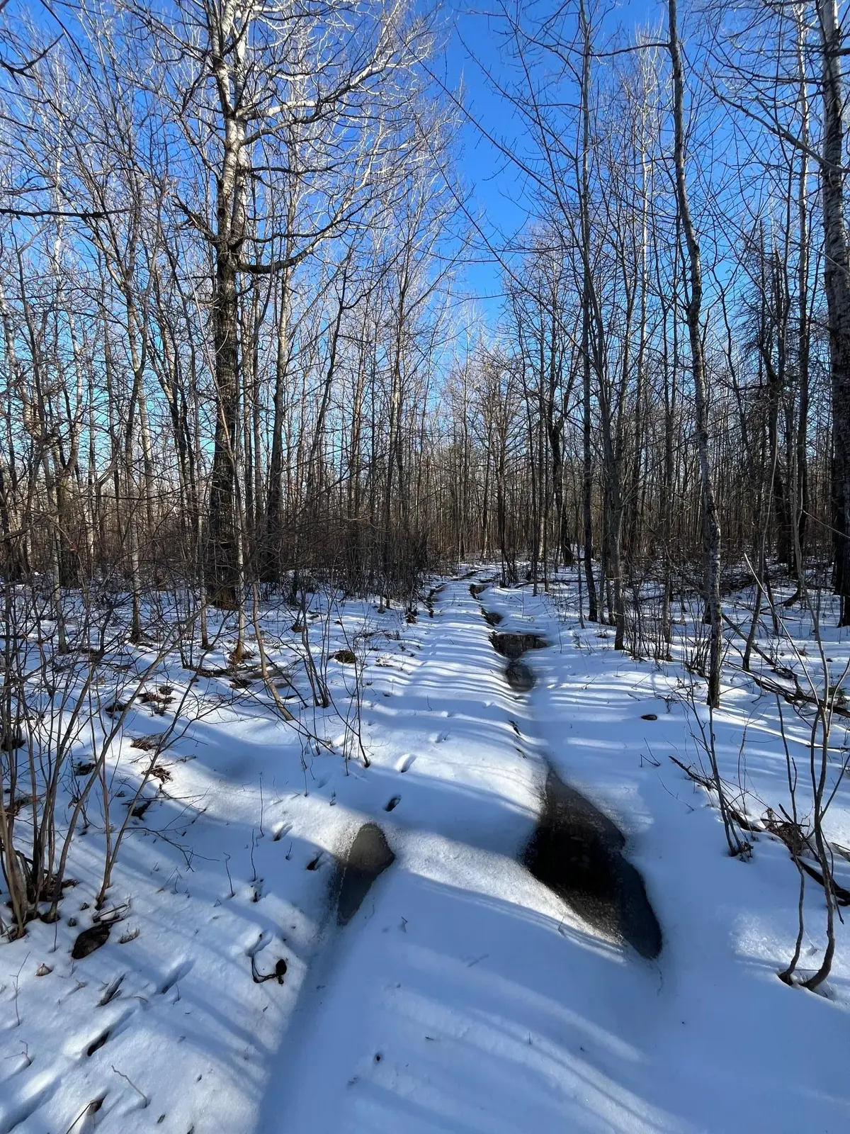 TBD County Rd 4, Barnum, MN 55707