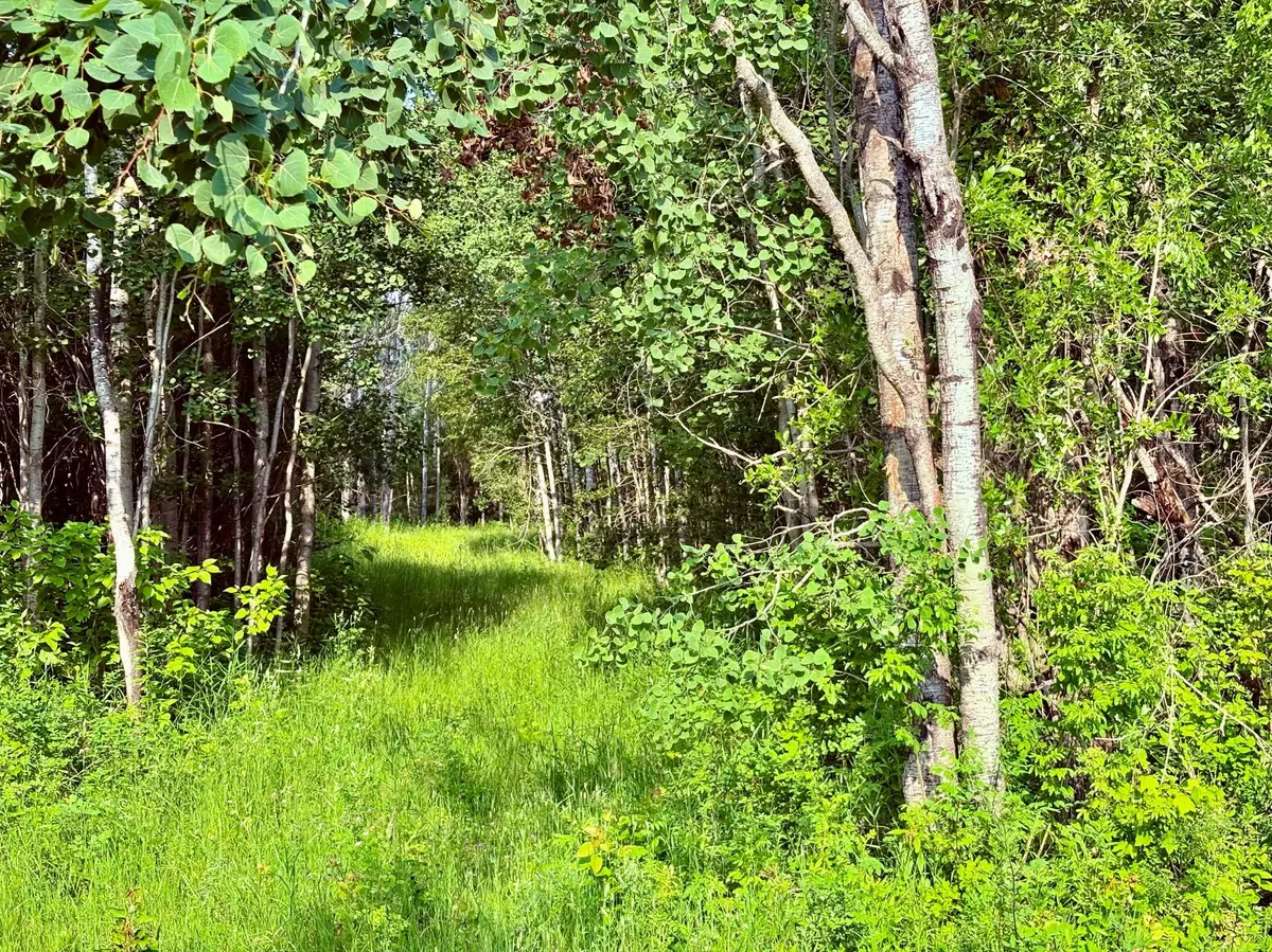 TBD 21st Ave SW, Baudette, MN 56623