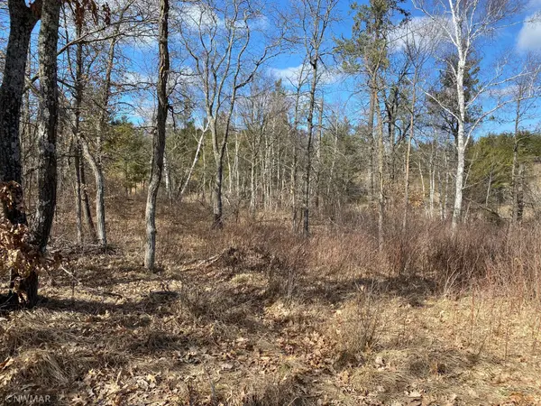 TBD (L9,B2) Goldfinch LN SW, Bemidji, MN 56601