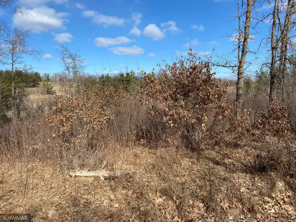 TBD (L9,B2) Goldfinch LN SW, Bemidji, MN 56601