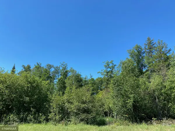 TBD (L9,B2) Goldfinch LN SW, Bemidji, MN 56601