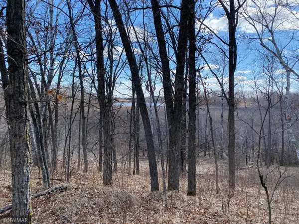 TBD (L9,B2) Goldfinch LN SW, Bemidji, MN 56601