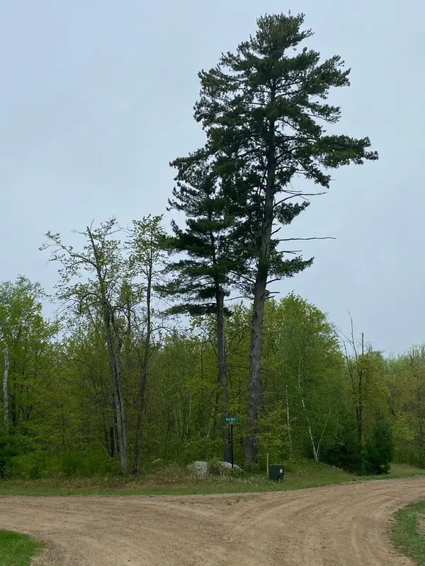 LOT 15 Bear Tract LN NE, Longville, MN 56655