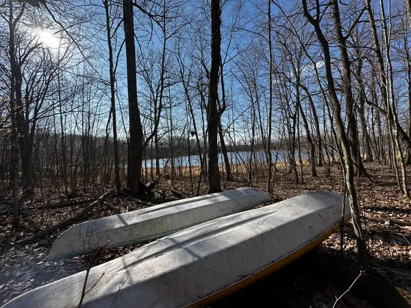 TBD Wilson Lake Drive, Deerwood, MN 56444