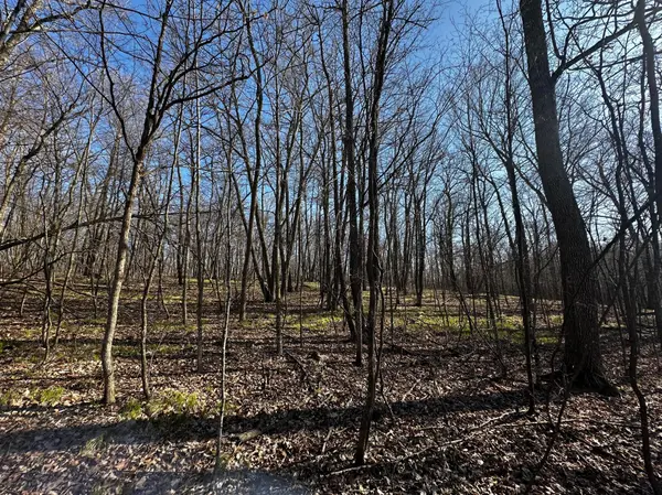 TBD Wilson Lake Drive, Deerwood, MN 56444