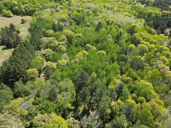 TBD County 2, Nevis, MN 56467