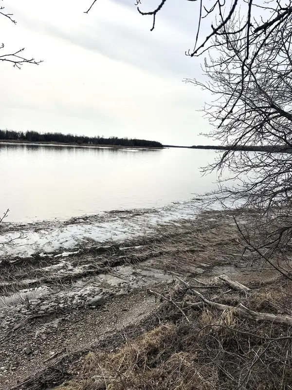 TBD Maple DR NW, Baudette, MN 56623