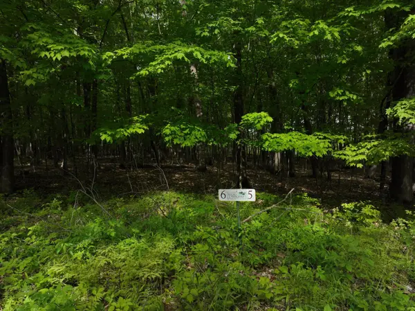 TBD Pleasantview TRL N, New Auburn, WI 54757