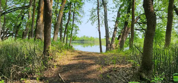 2922 Highway 11 S, Loman, MN 56654