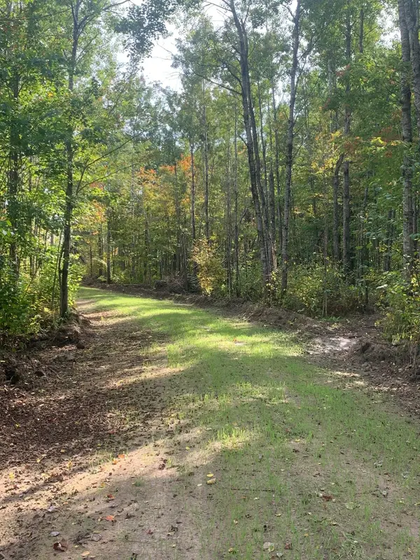 TBD County Road T 4, Dairyland, WI 54830