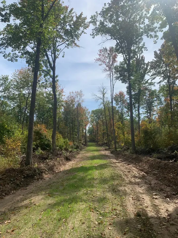 TBD County Road T 3, Dairyland, WI 54830