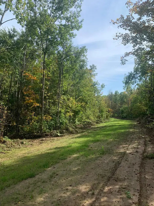 TBD County Road T 2, Dairyland, WI 54830