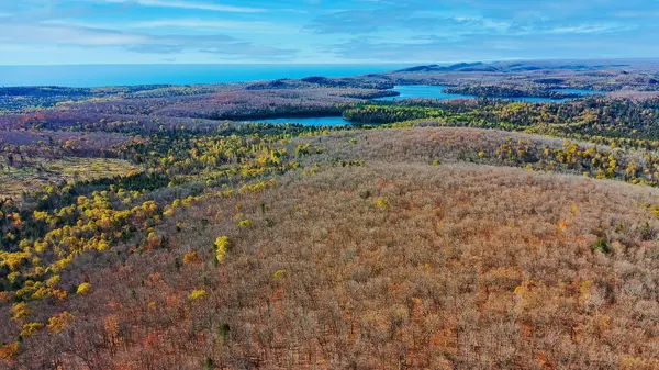 xx W Deeryard Lake Rd, Lutsen, MN 55612