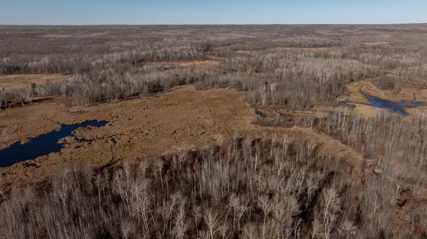 6876 County Road 1, Pine River, MN 56474