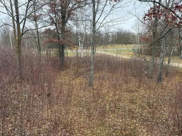 11935 Tomine DR NW, Bemidji, MN 56601