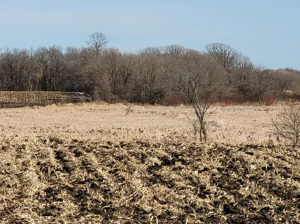 XXXX County Road 7 NW, Maple Lake, MN 55358