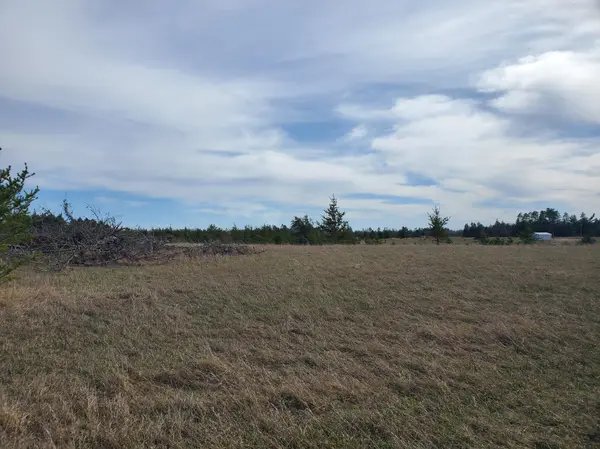 tbd Cattail LN E, Bemidji, MN 56601