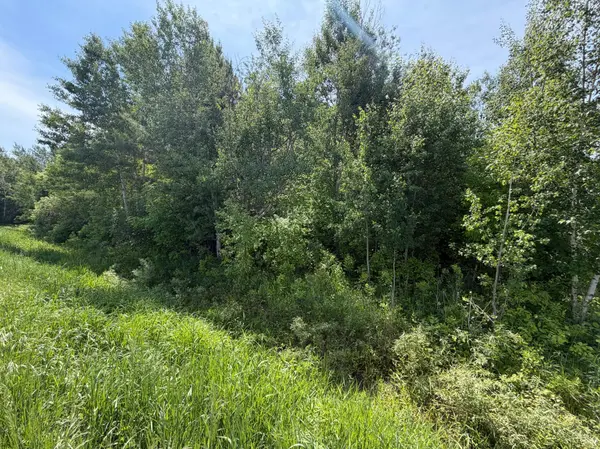 TBD-B 180th ST, Milaca, MN 56353