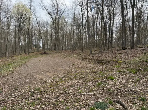 TBD Balsam DR, Birchwood, WI 54817