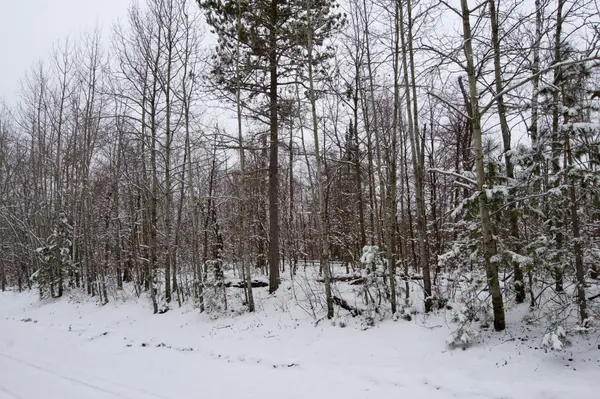 TBD Sheridan Woods LN NE, Outing, MN 56662