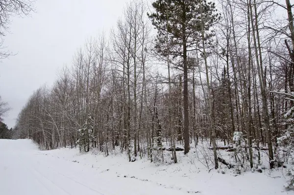 TBD Sheridan Woods LN NE, Outing, MN 56662