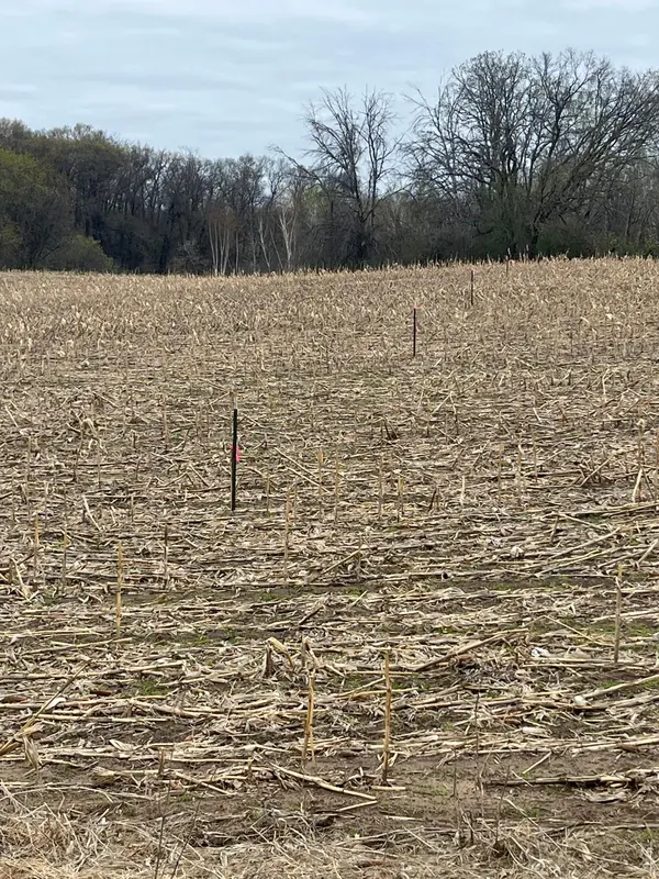 TBD County Road 5 NW, Bradford Twp, MN 55040