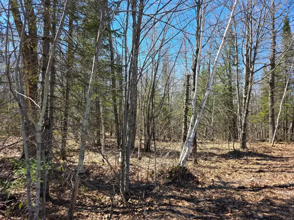 TBD Stark RD, Cloquet, MN 55720