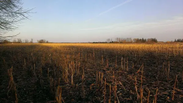 TBD 16-005-0102 Mille Lacs County, Princeton, MN 55371