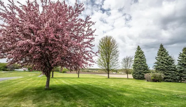 25900 Highview AVE, Farmington, MN 55024