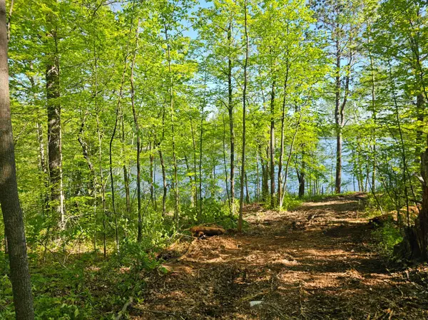 Lot 2 Blk 1 Swanson Road, Deerwood, MN 56444