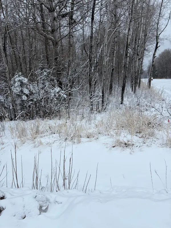 TBD Pine Creek DR NW, Angle Inlet, MN 56711