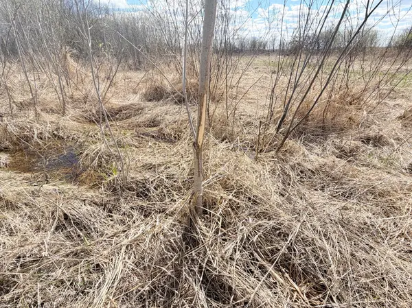 TBD Nature AVE, Palisade, MN 56469