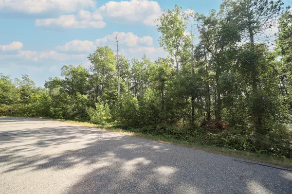 TBD McGill Street, Pequot Lakes, MN 56472