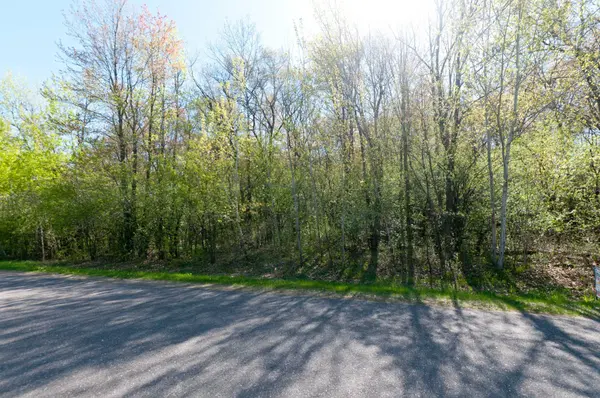 TBD 20 1/8 ST, Cameron, WI 54822