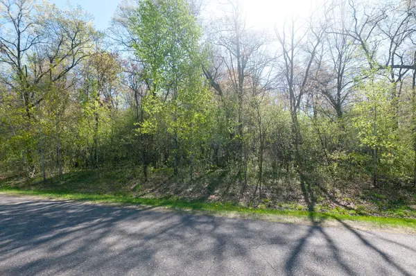 TBD 20 1/8 ST, Cameron, WI 54822