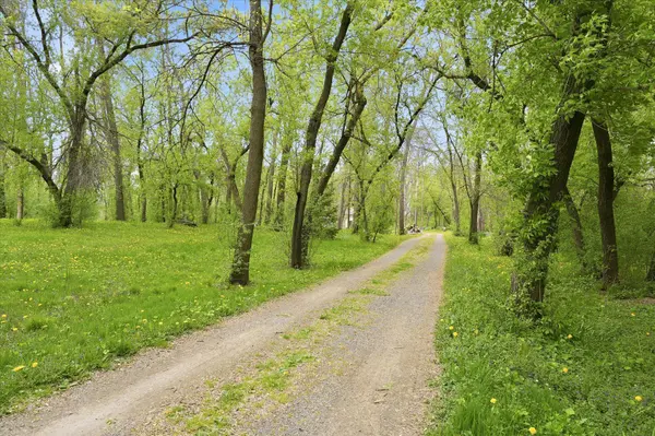 9215 Shannon LN, Corcoran, MN 55340