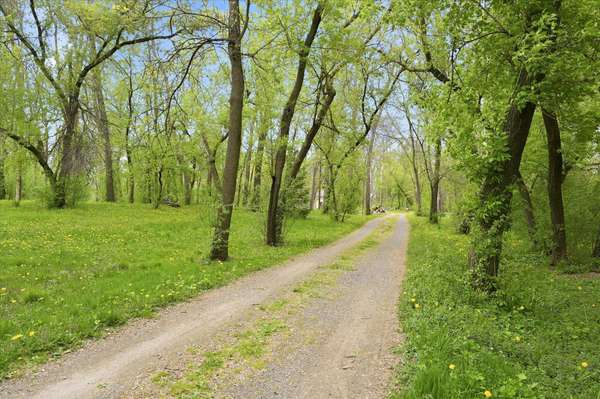 9215 Shannon LN, Corcoran, MN 55340