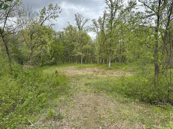 TBD 301st AVE NW, Princeton, MN 55371