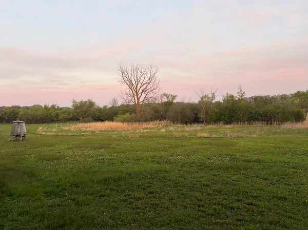 58255 Mn-7,  Cosmos,  MN 56228