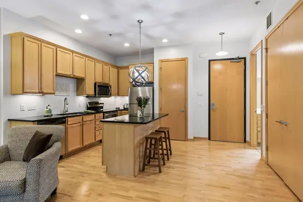 240 Spring ST #203, Saint Paul, MN 55102