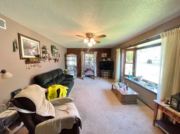 115 W Lincoln ST, Springfield, MN 56087